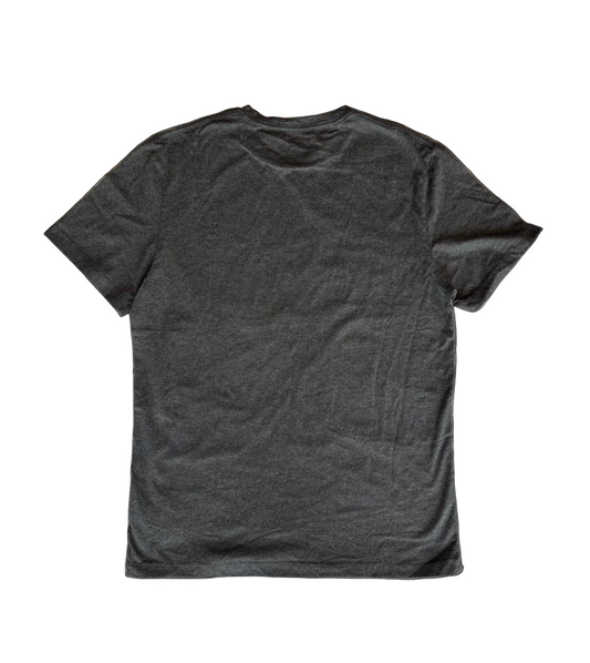 Playera All Saints Slim fit Gris